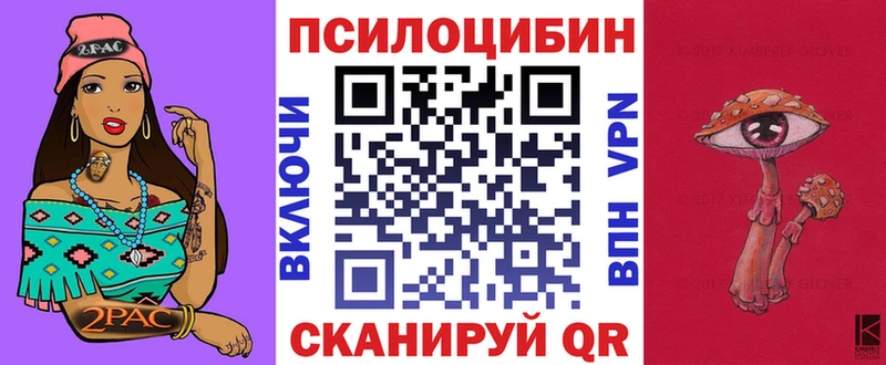 купить OMG ССЫЛКА Псилоцибиновые грибы Psilocybe Нефтекамск