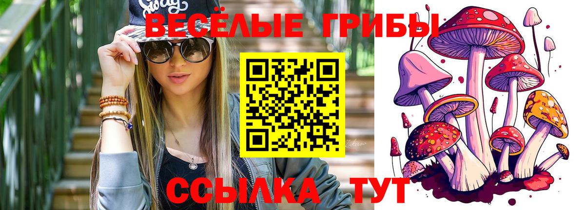 Псилоцибиновые грибы GOLDEN TEACHER Нефтекамск
